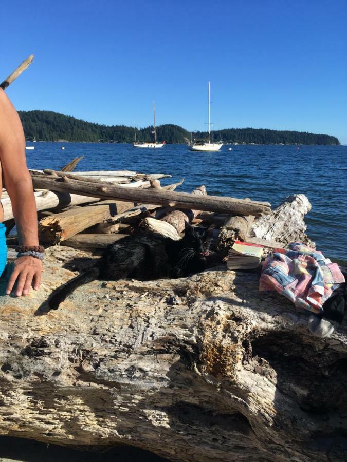 Oceanfront Suite Gibsons Dış mekan fotoğraf
